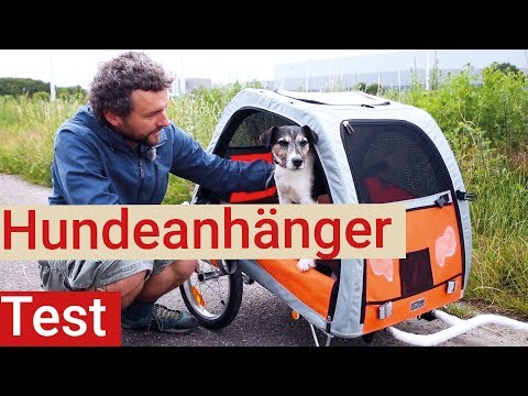 YouTube-Video-Thumbnail