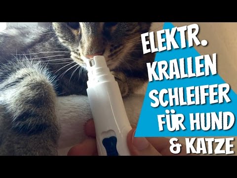 YouTube-Video-Thumbnail