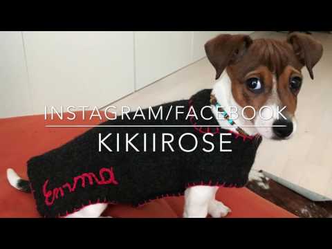 YouTube-Video-Thumbnail